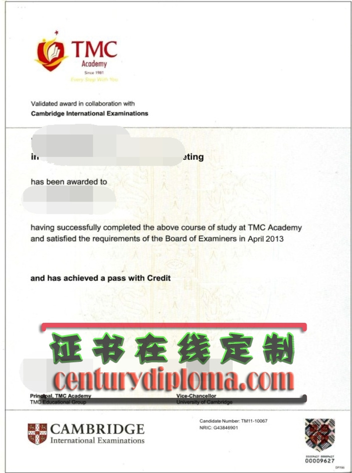 定制新加坡TMC学院文凭：你的专属学术之路
