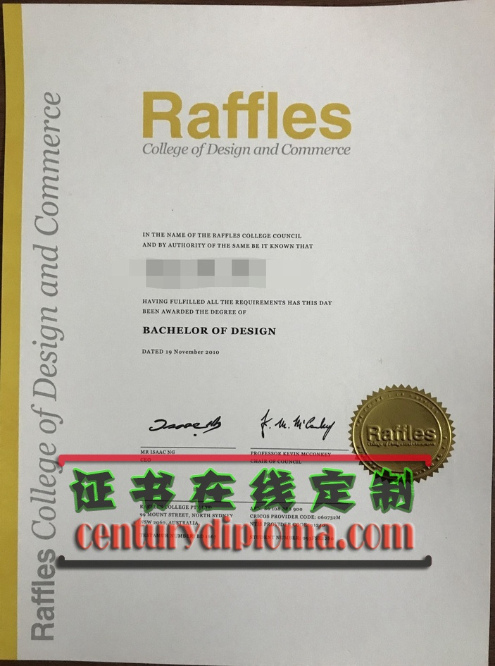 做个莱佛士设计与商业学院文凭：通往未来的通行证