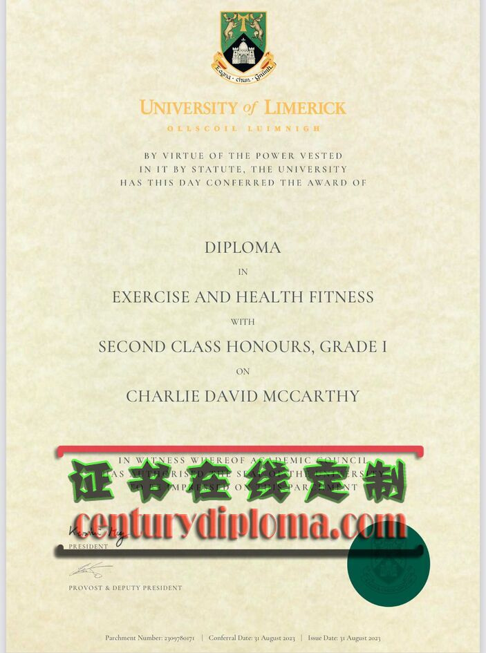 利墨瑞克大学：爱尔兰的璀璨明珠