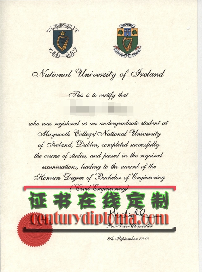 国立大学梅鲁斯学院毕业证一比一复刻：详解如何选择高质量复刻版本